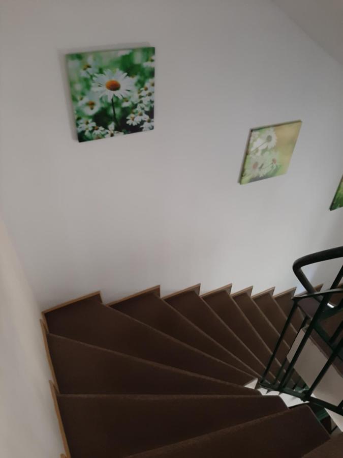 Hotel Landgasthof Frankenstern 格斯韦因斯泰因 外观 照片