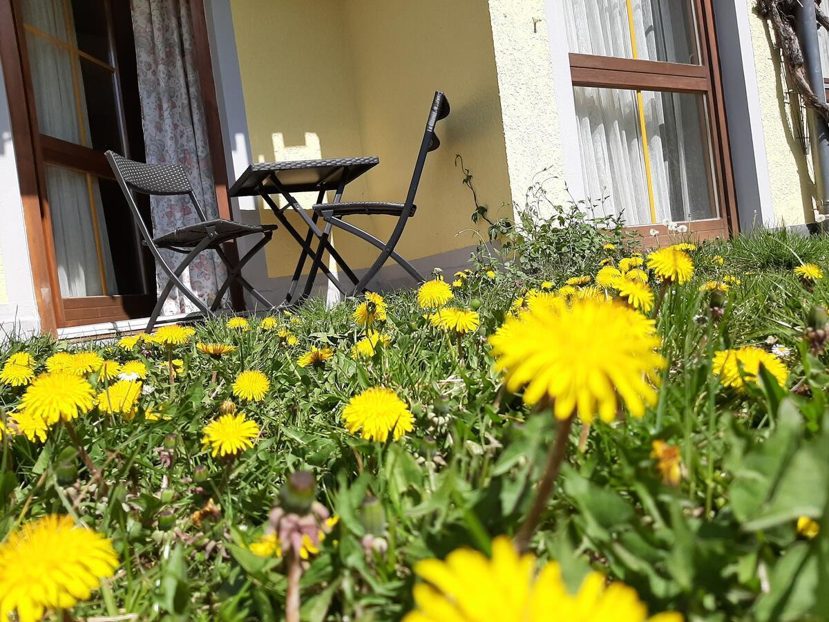 Hotel Landgasthof Frankenstern 格斯韦因斯泰因 外观 照片
